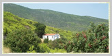 Agios Nikolaos Neos